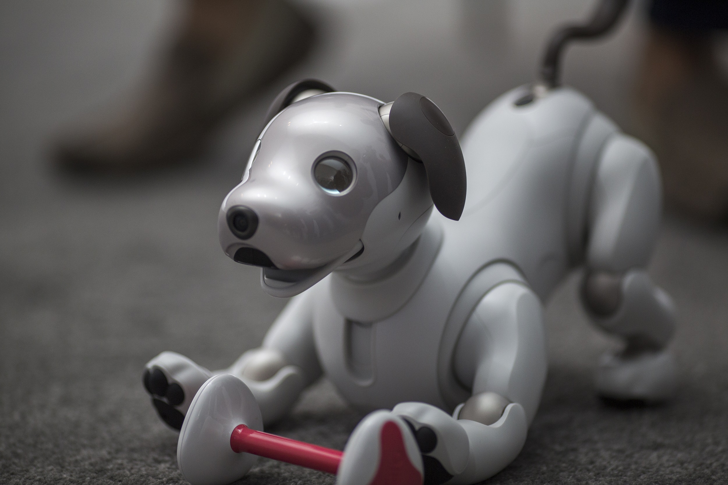 Sony Is About To Release Its Robot Dog, Aibo, in the US