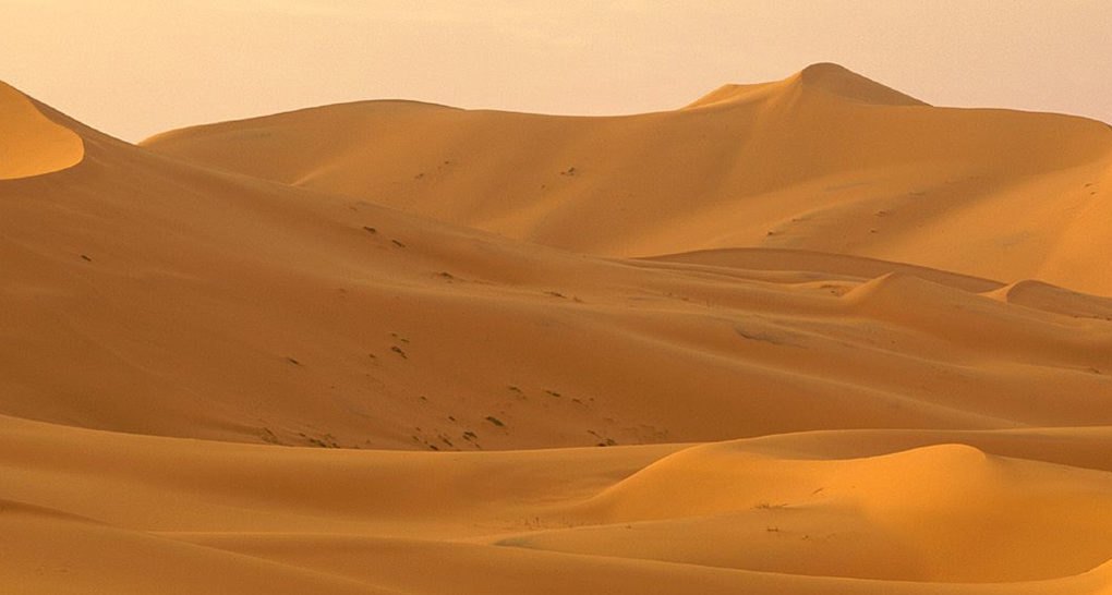 The Incredible Plan of the Scientists to Bring Rain in the Sahara Desert
