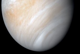 Discovery of an amino acid in the atmosphere of Venus