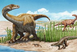 Two huge new species of dinosaurs discovered in China