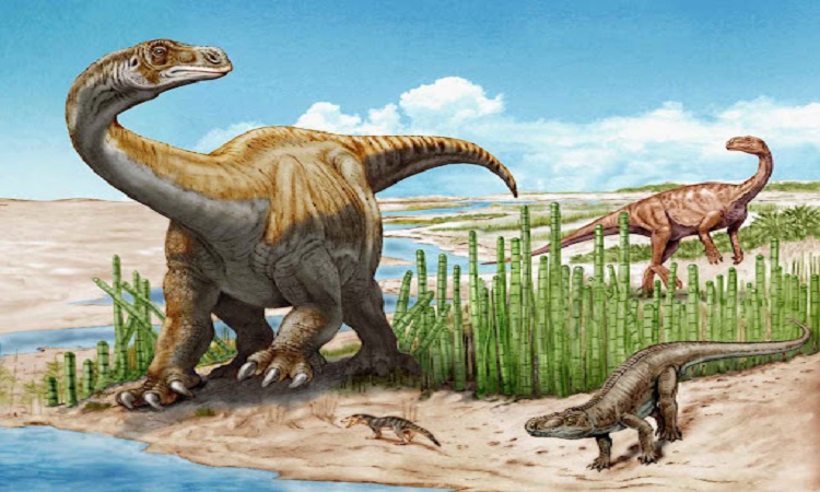 Two huge new species of dinosaurs discovered in China