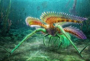 A strange creature on stilts from the Ordovician period discovered