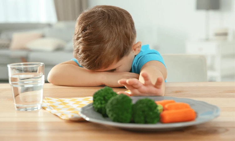 Food neophobia or when children reject new foods