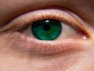 Blind people have regained their sight using bioartificial corneas