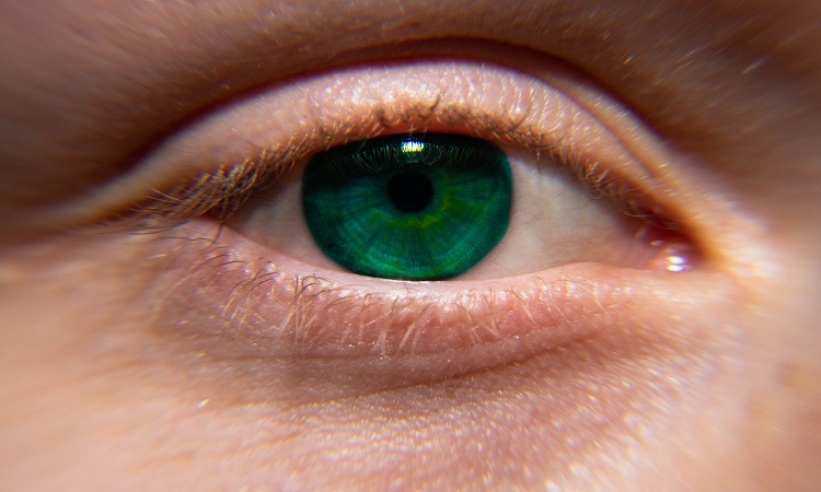 Blind people have regained their sight using bioartificial corneas